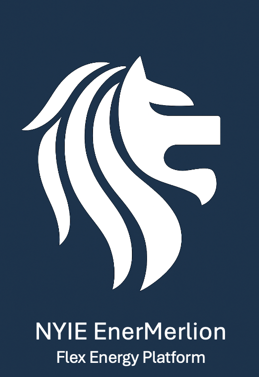 NYIE EnerMerlion Logo